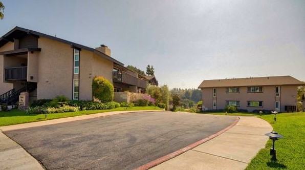 Amigos - Photo 7 of 14