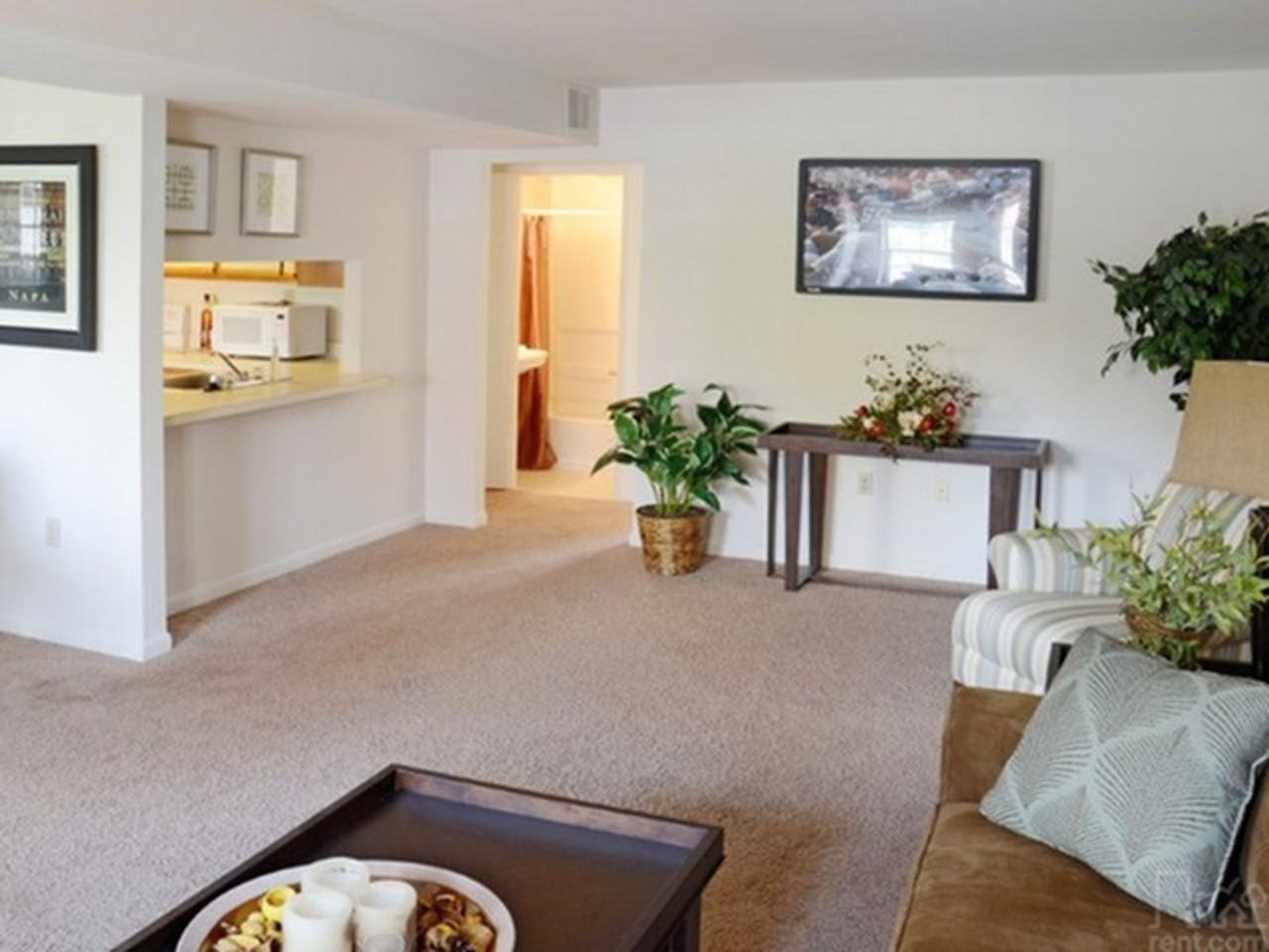 Mulberry Station Apartments - Photo 3 of 50