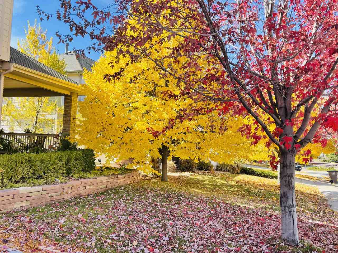 16866 E Peakview Ave #NA - Photo 3 of 23