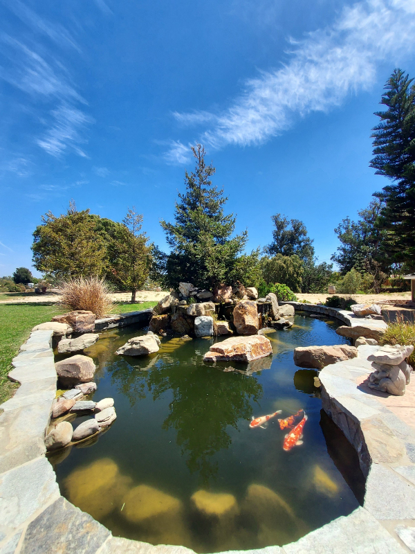 275 Crestview Ave - Photo 4 of 24