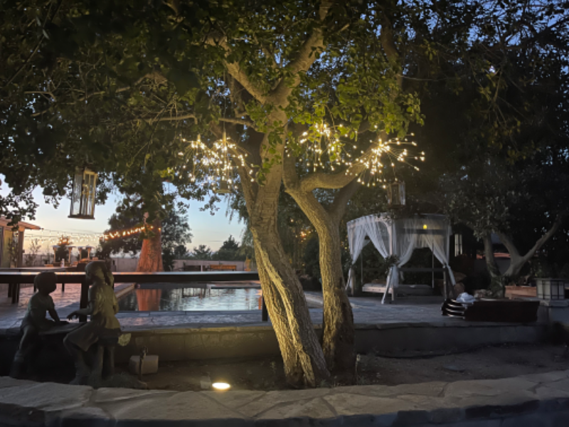 275 Crestview Ave - Photo 6 of 24