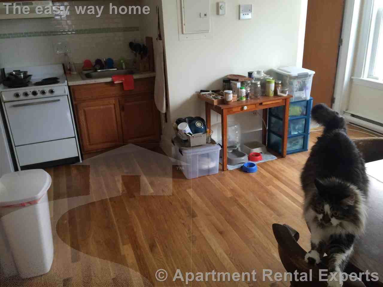 14 Garrison Ave #6