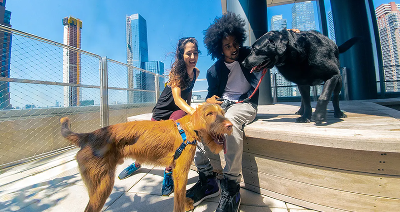 551 10th Ave #41M - Photo 7 of 15