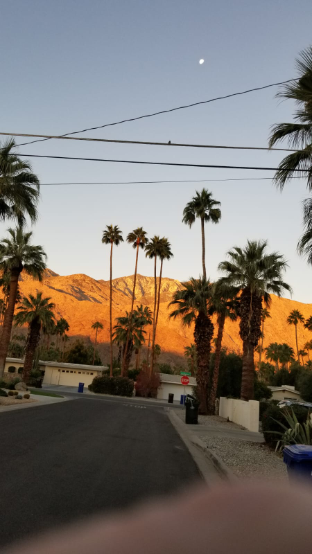 1595 S Calle Rolph - Photo 2 of 20