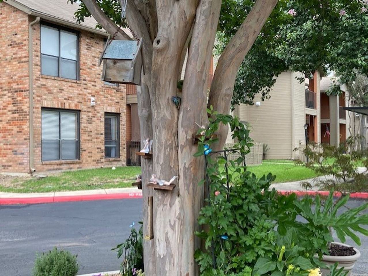 Arbors of Boerne Apartments - Photo 6 of 50