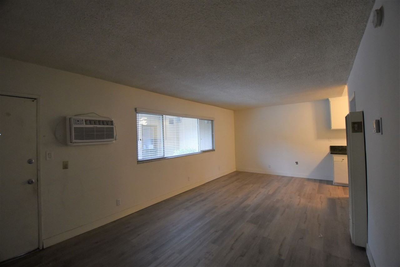 5255 - Photo 3 of 19