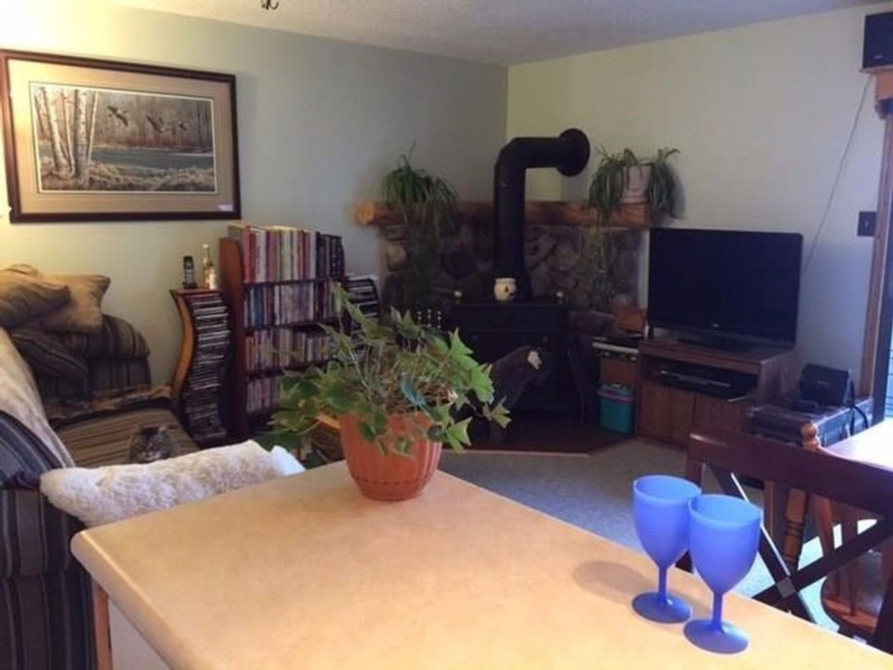 304A Dillon Valley West - Photo 5 of 7