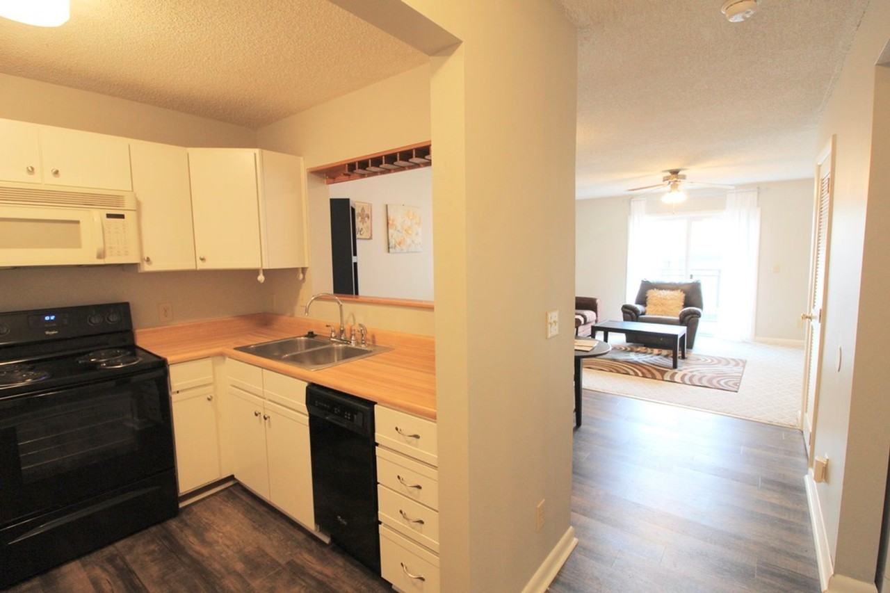 1346 Hunters Rd Apt L - Photo 4 of 22