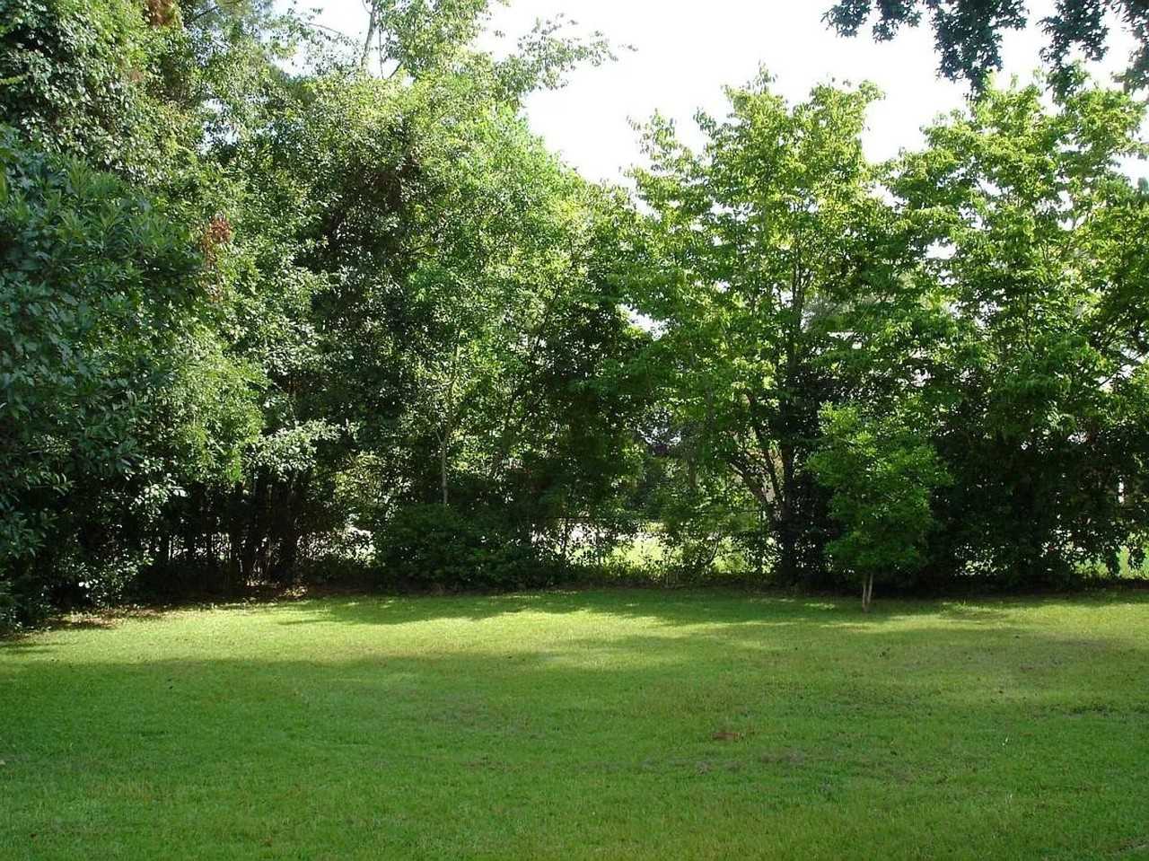 2817 Little Deal Rd - Photo 3 of 12