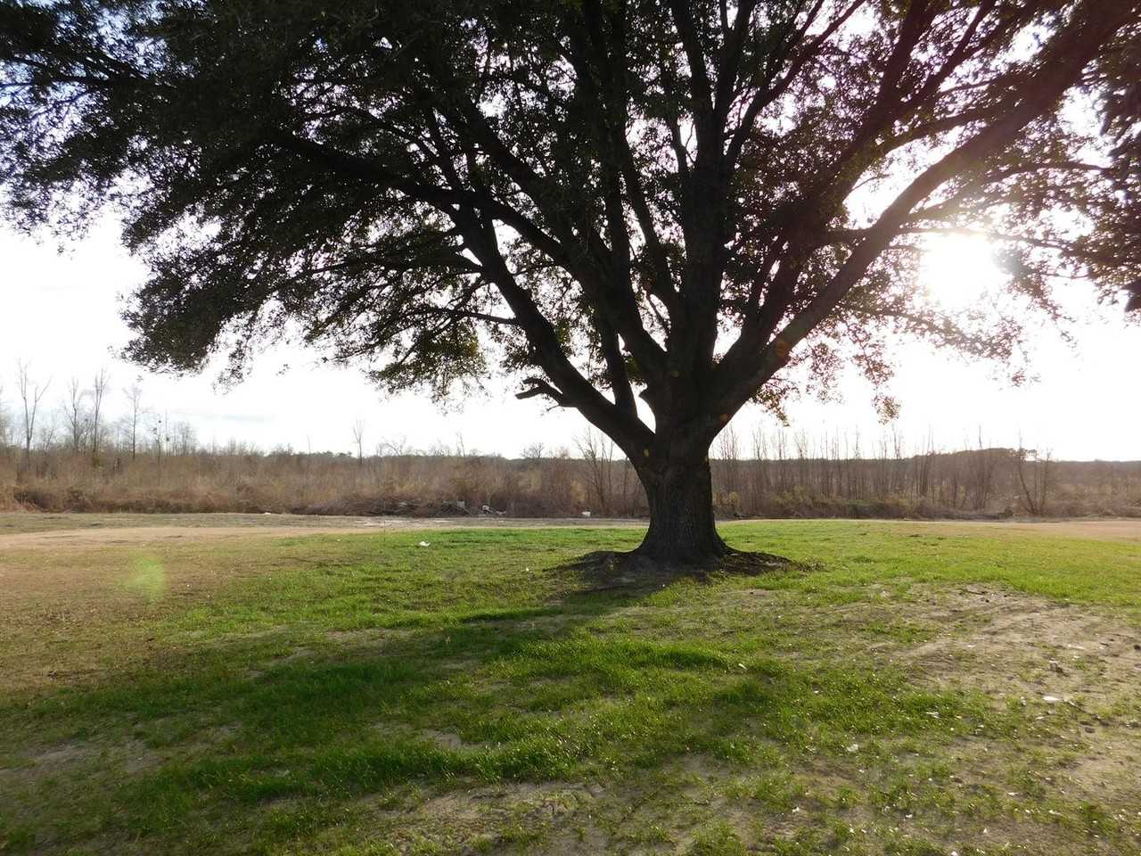 6455 River Rd - Photo 6 of 28