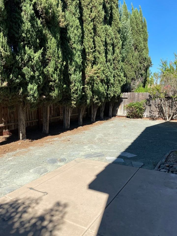 1023 New Holland Ct - Photo 3 of 15