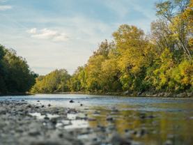 Tributary 50 by Dial Residential - Photo 1 of 1