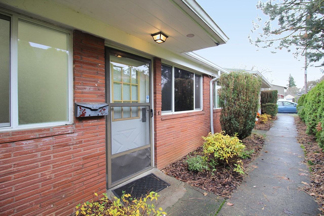 broot01 - Photo 3 of 13