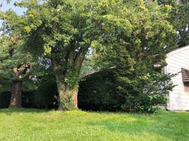 featured image of 417 East Hillside Drive