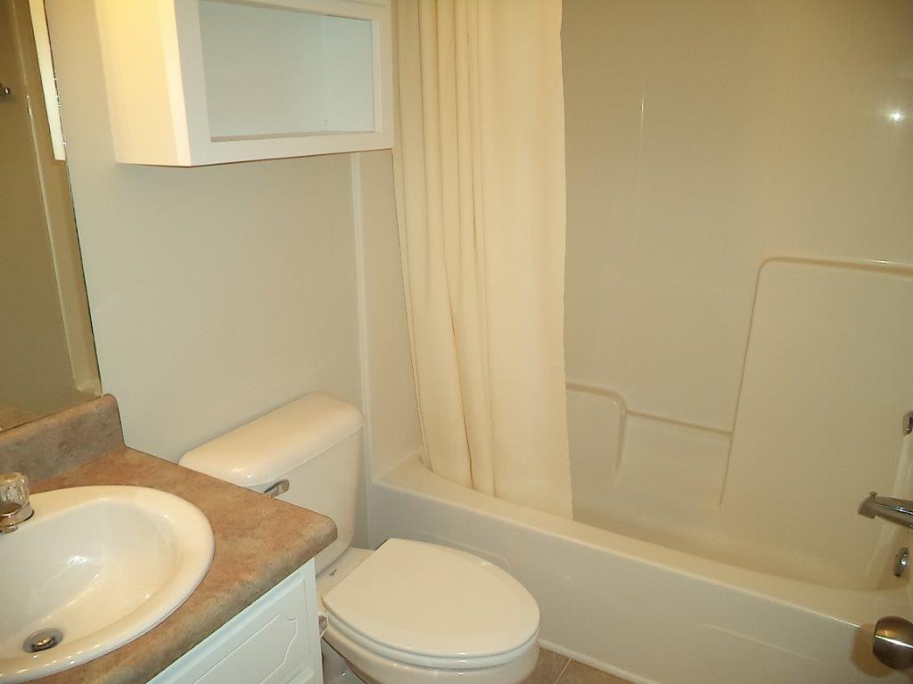 203 Winthrope Ln - Photo 6 of 10