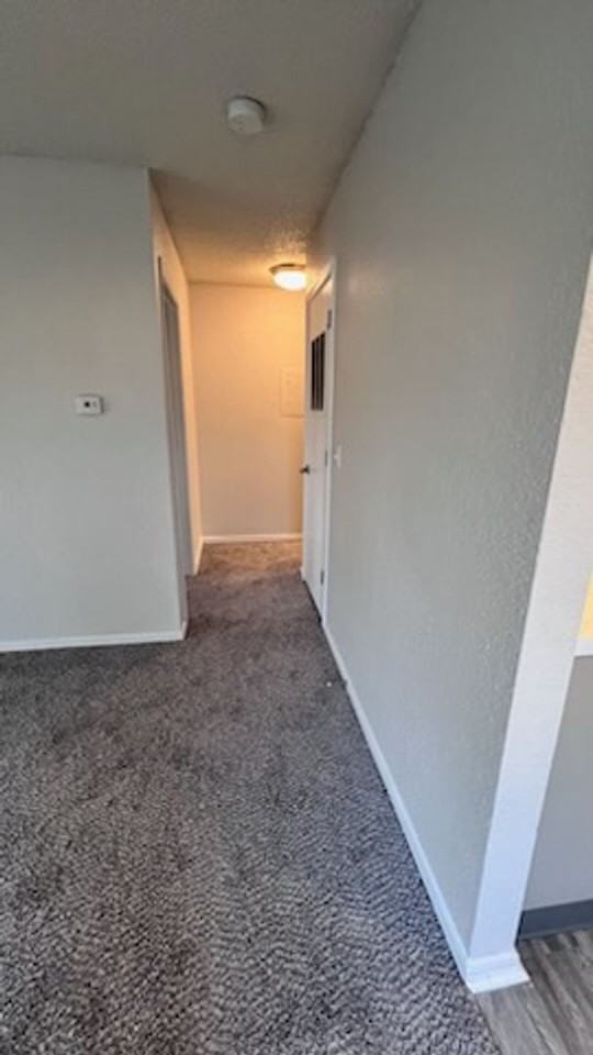 Hickory Grove Apartments - Photo 6 of 16