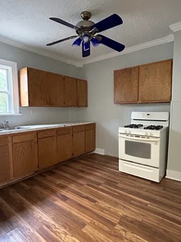 179 E Mapledale Ave - Photo 3 of 6