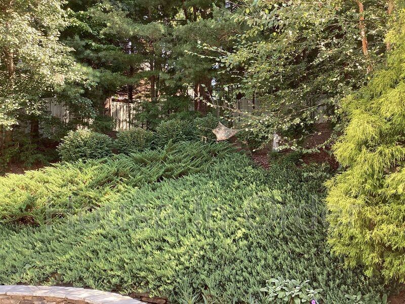 49 White Ash Dr - Photo 7 of 41