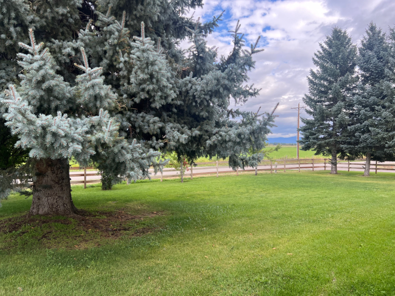 3697 Dietz Dr - Photo 2 of 19