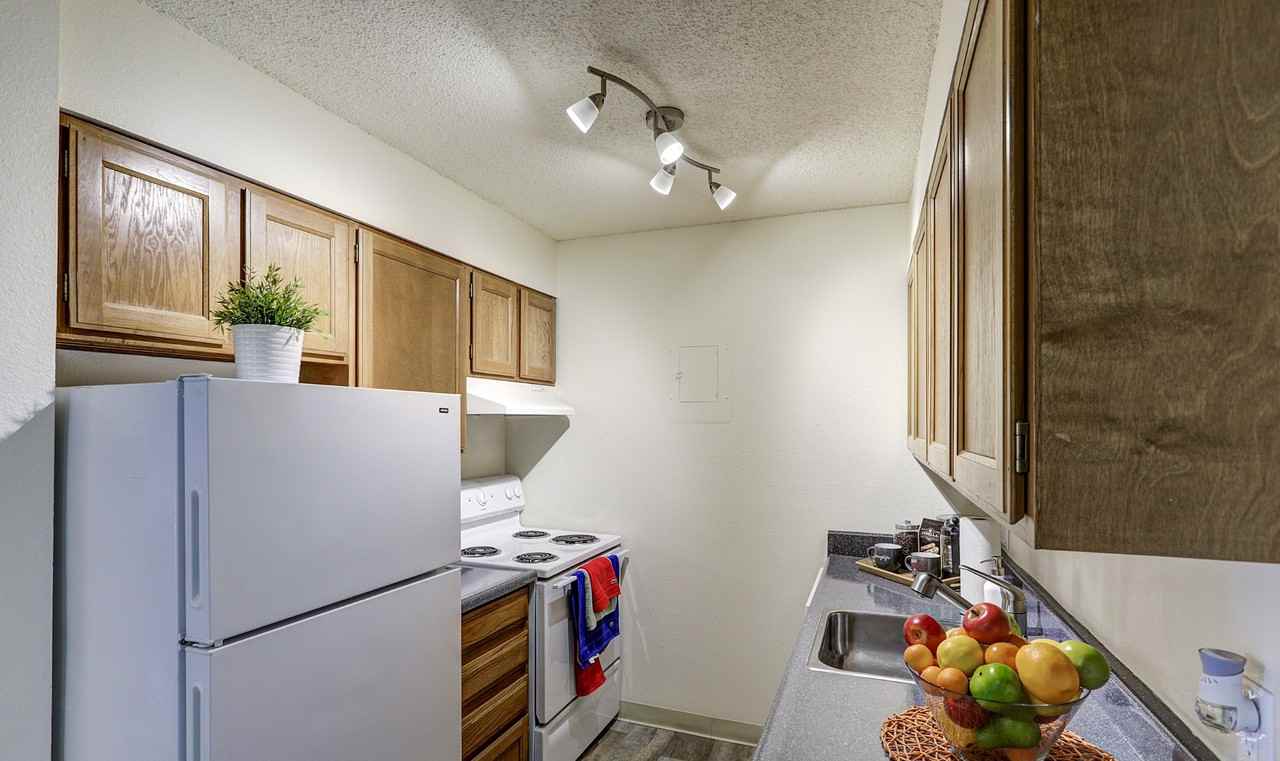 Spyglass Creek - Photo 5 of 65