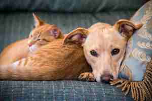 featured image of 2801 N Hayden Pkwy