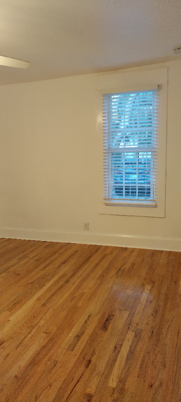 260 Saint George St #6 - Photo 4 of 20