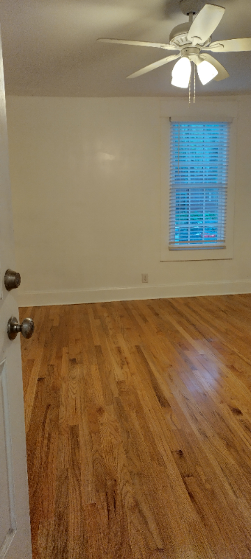 260 Saint George St #6 - Photo 6 of 20