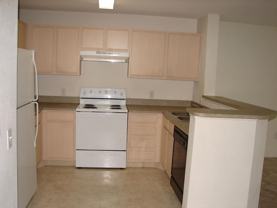 231 Douglas St Apt 107 - Photo 1 of 1