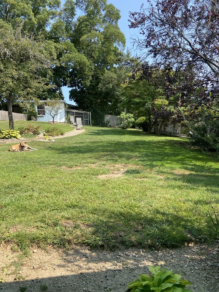 67 Highview Ave #1 - Photo 2 of 20