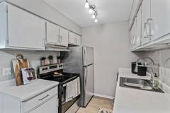 Raindance - Photo 1 of 1