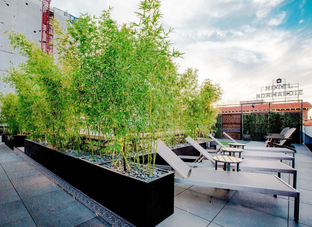 The Abbey Apts...Spacious Bedrooms...Brand New Designed Modern Apt Homes! CALL NOW! - Photo 7 of 30