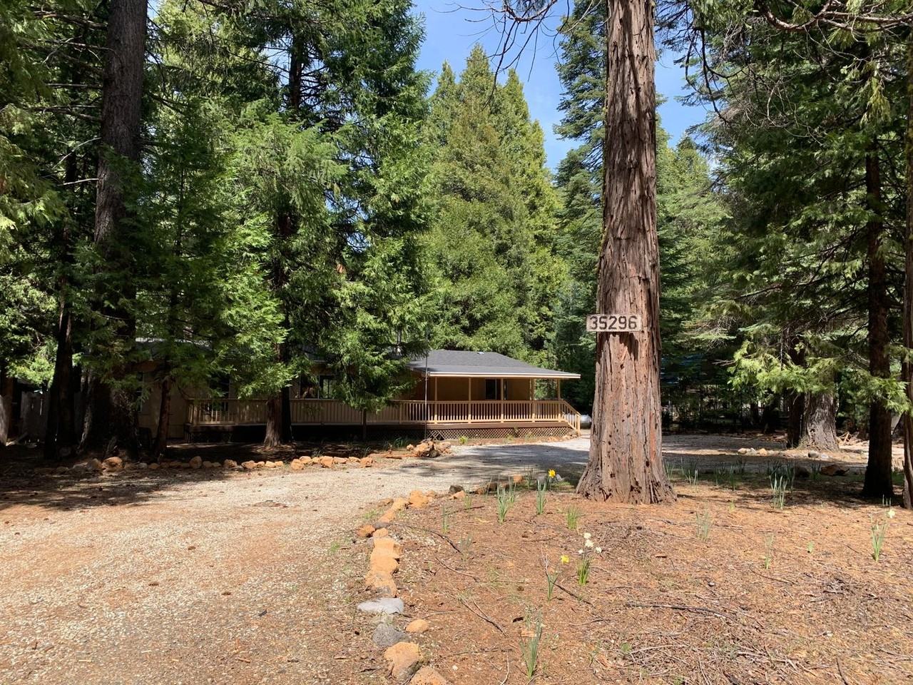 35296 Bethany Way - Photo 2 of 50