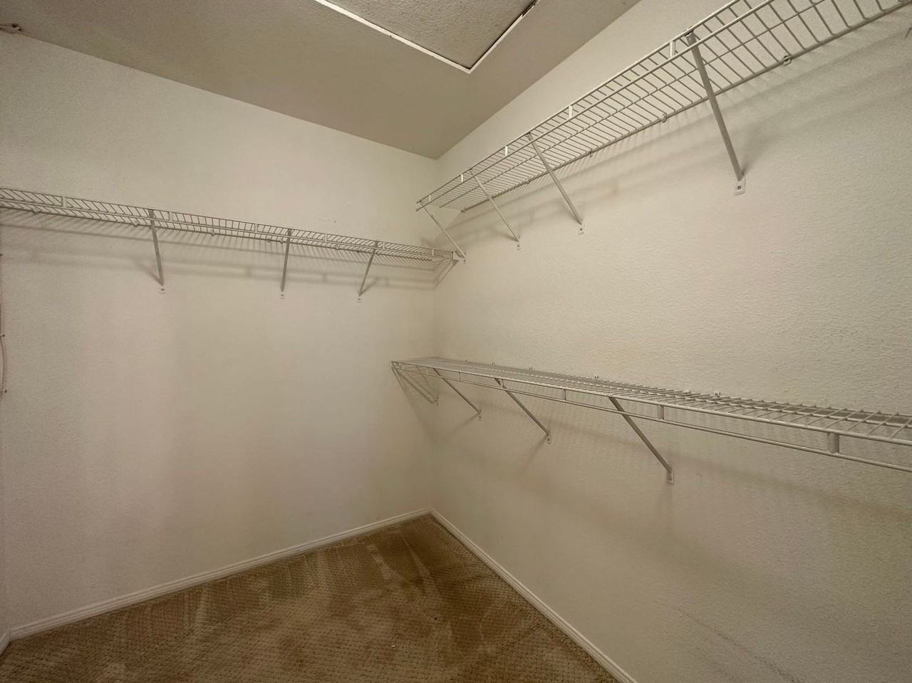 7331 Shelby Pl #U89 - Photo 7 of 15