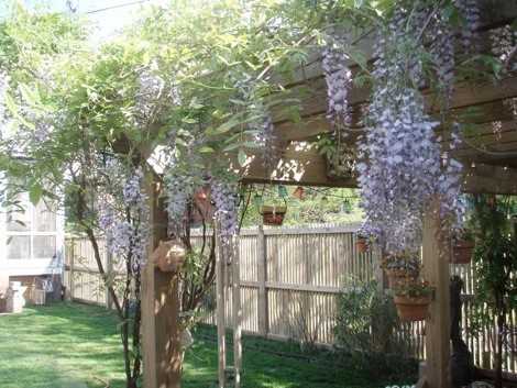 510 N Sheppard St - Photo 3 of 22