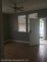 Chestnut - Photo 1 of 1