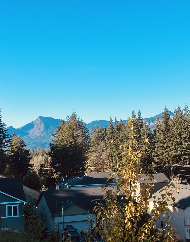 906 Se Windsong Dr #NA - Photo 3 of 18