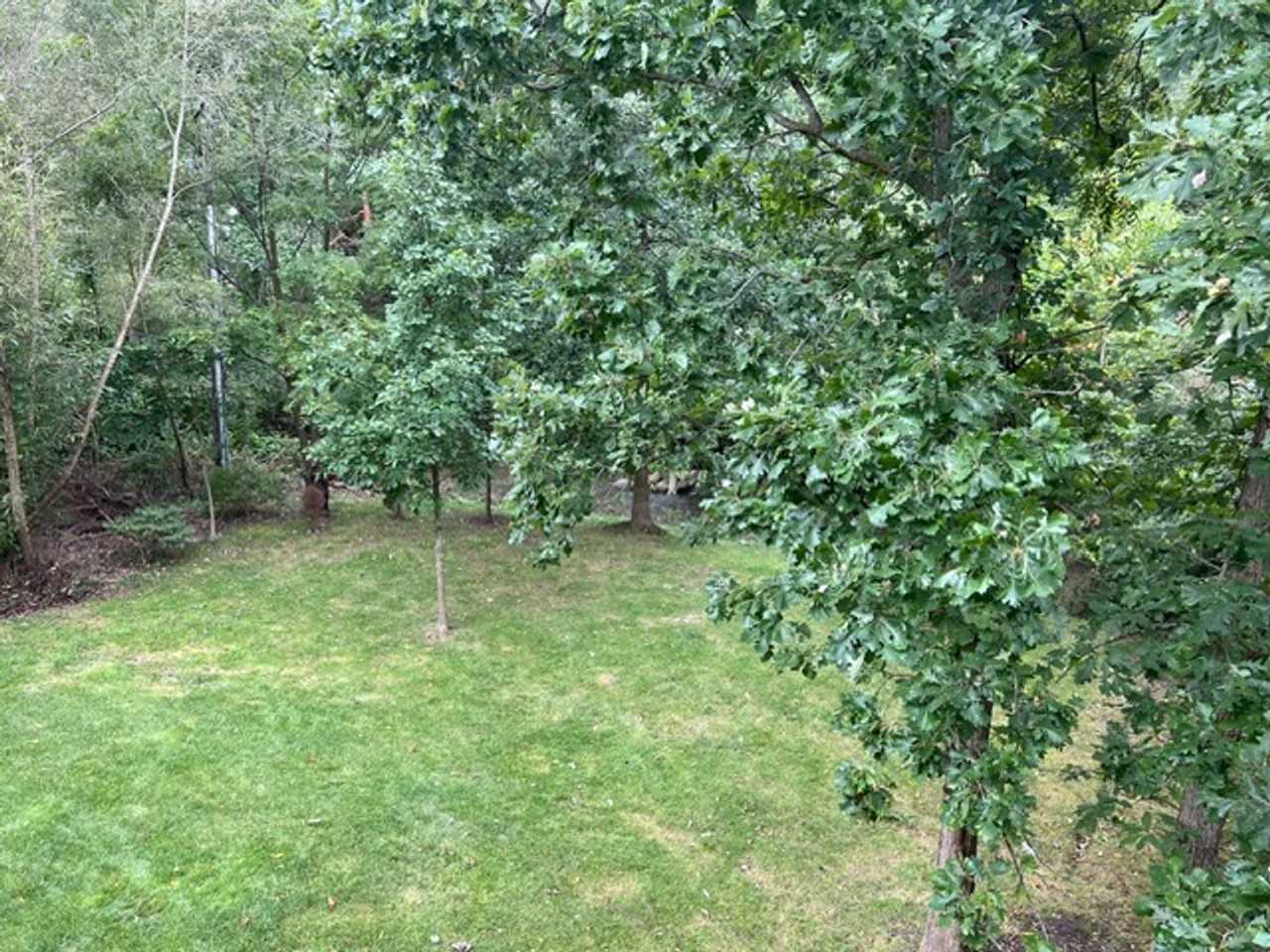 1964 Boulder Dr - Photo 2 of 16