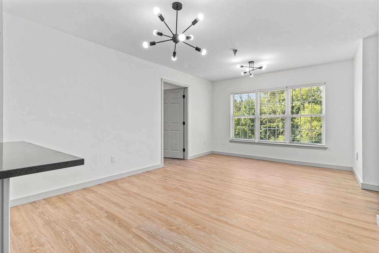 The Raphael - Photo 6 of 24