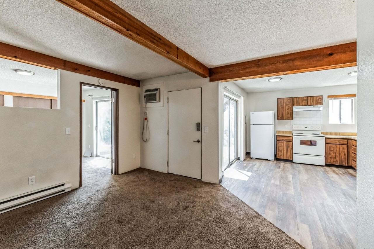 Four Horses - Photo 3 of 26