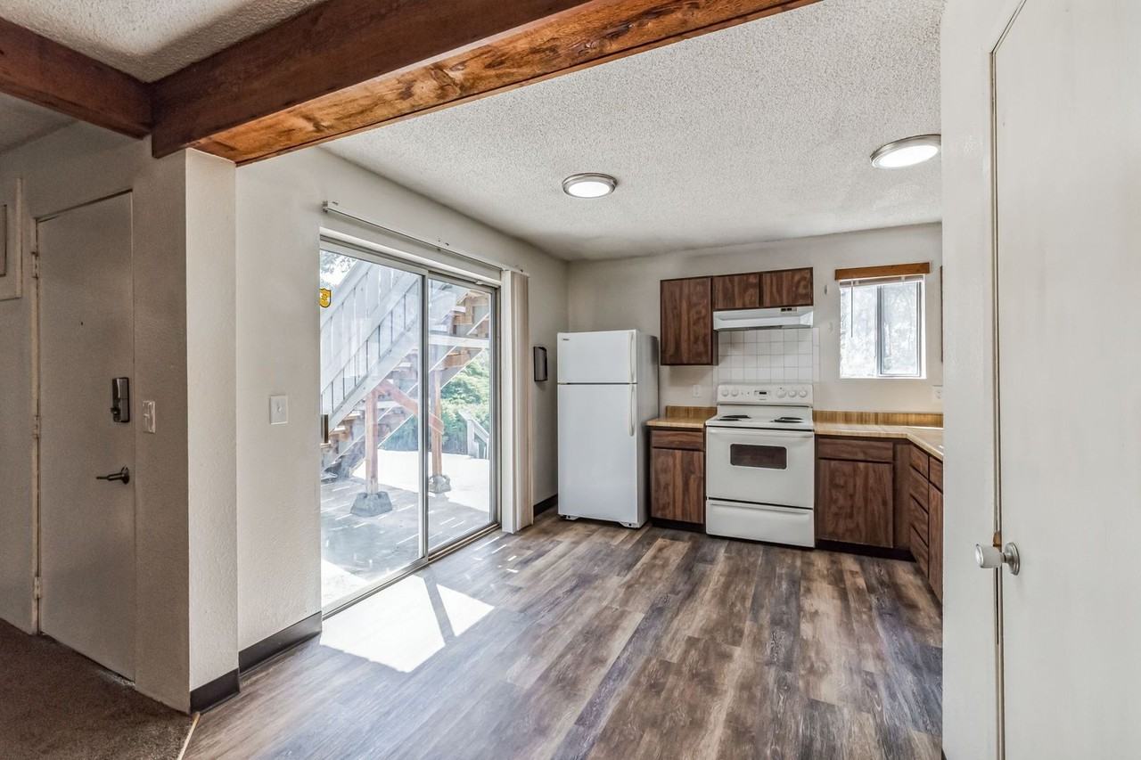 Four Horses - Photo 4 of 26