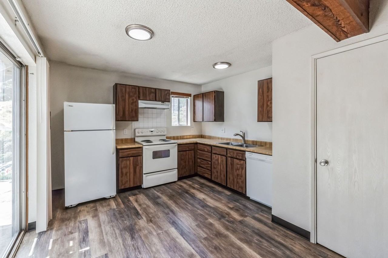 Four Horses - Photo 5 of 26