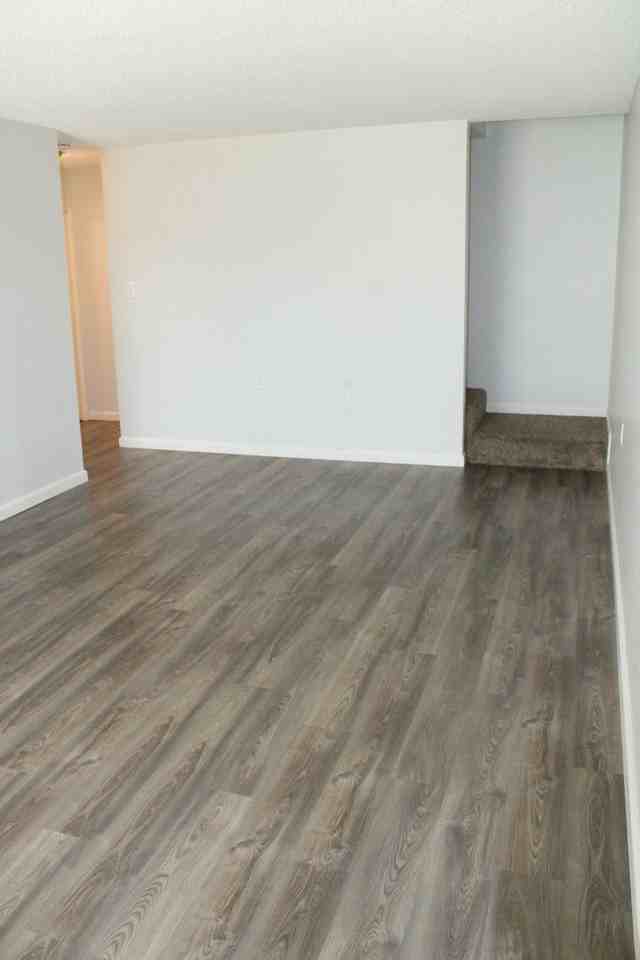 1527 Pine Ave - Photo 3 of 18