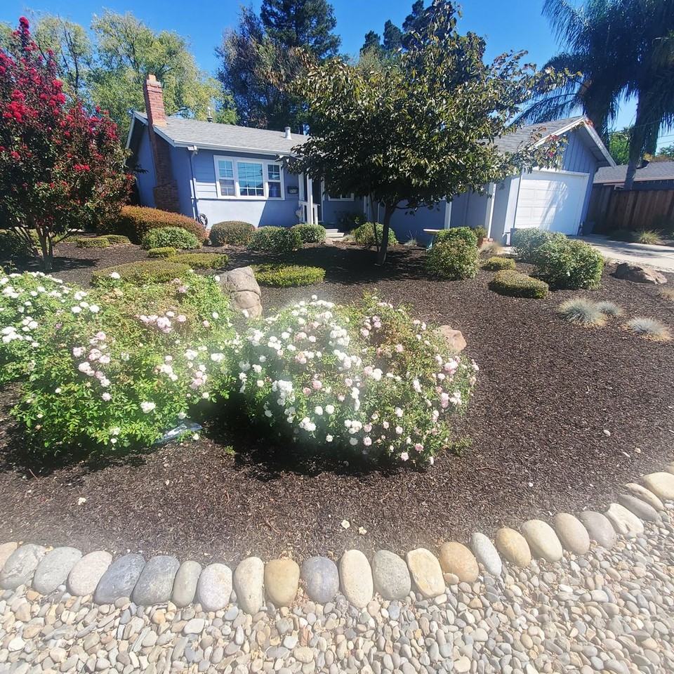 2206 Yukon St - Photo 2 of 17