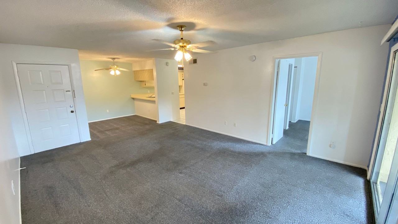 6118 Curry Ford Rd #227 - Photo 6 of 13