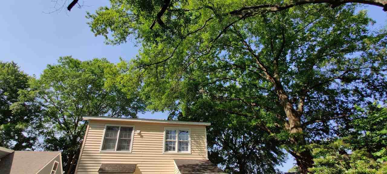 1720 Jacquelin St - Photo 2 of 17