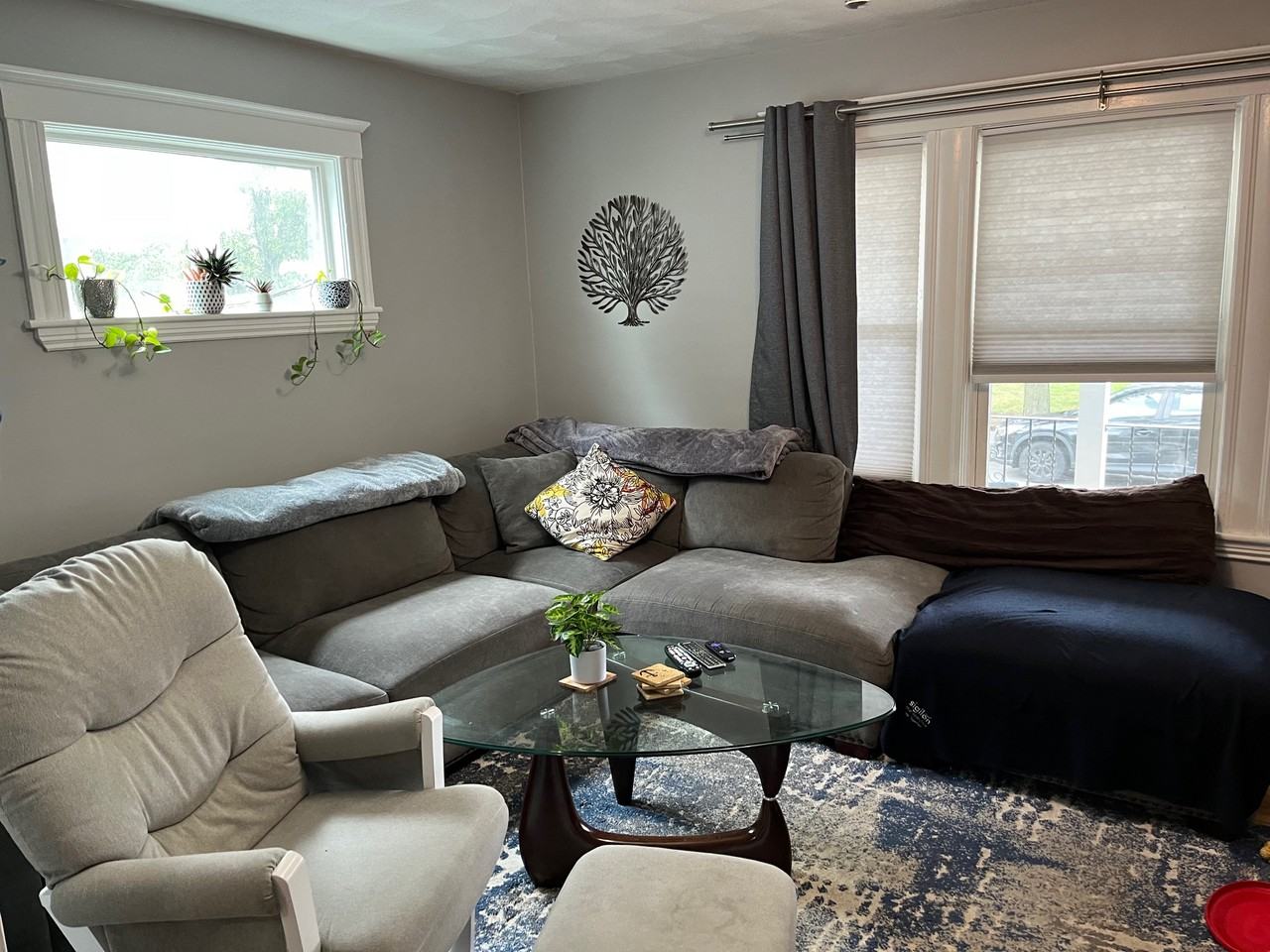21 Harold St #1 - Photo 3 of 14