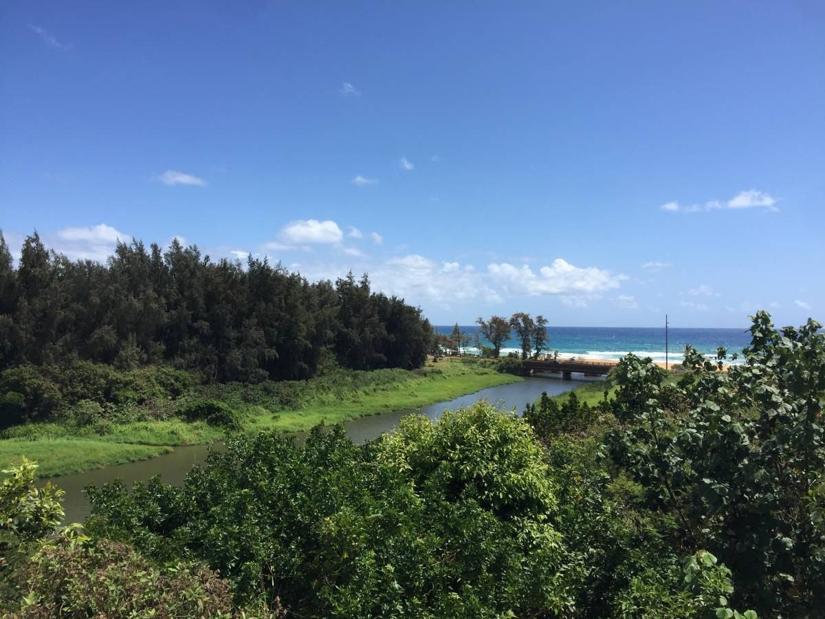 4674 Silva Road - Photo 2 of 26