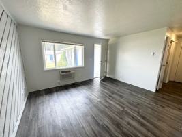 featured image of 207 N Indiana Ave