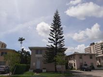 110 Antiquera Ave. - Photo 1 of 1