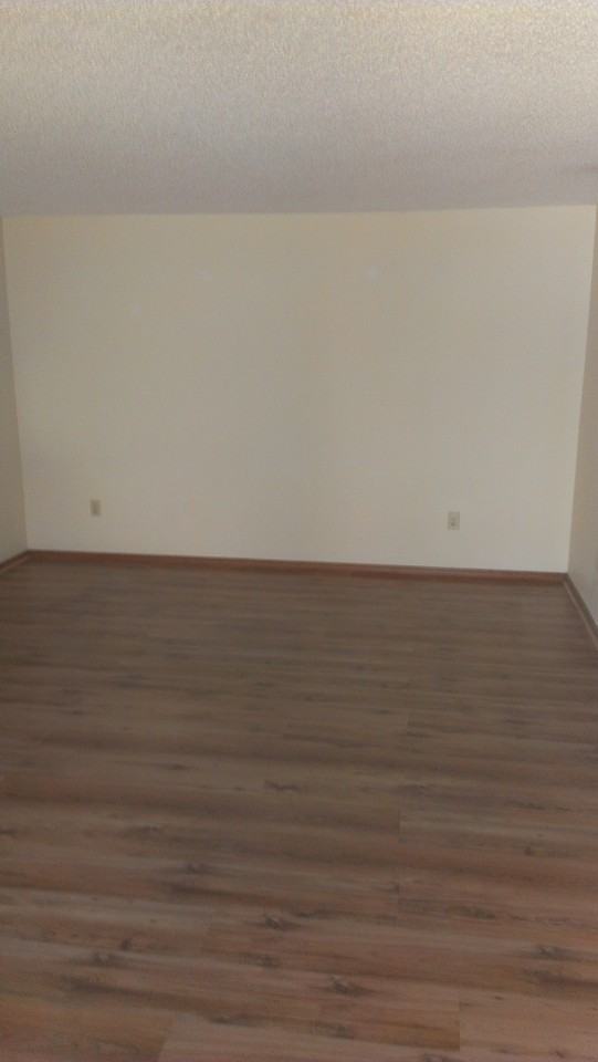 315 Springfield Dr - Photo 2 of 6